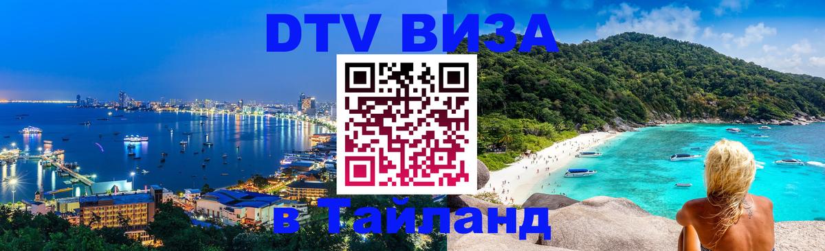 Оформление DTV визы под ключ: стоимость и тарифы, только загранпаспорт - 09.01.2026 